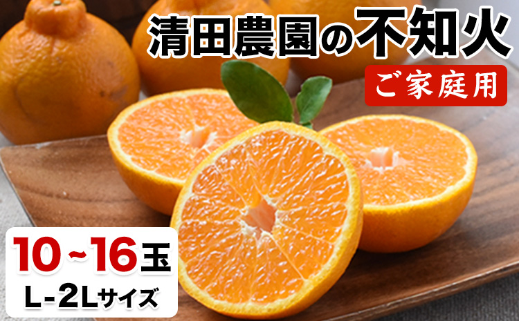 清田農園のご家庭用不知火10玉-16玉(L-2Lサイズ) あのデコポンと同品種 熊本県玉名郡玉東町《3月上旬-3月末頃出荷》