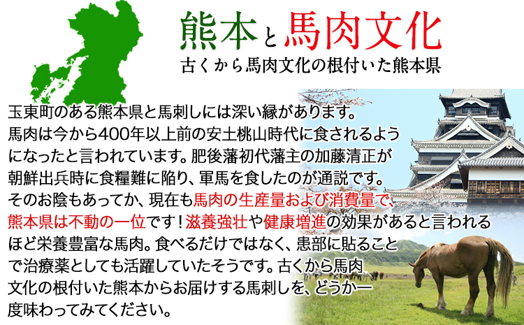 【国内肥育】熊本特産★赤身馬刺し400g+タレ100ml付き 《30日以内に出荷予定(土日祝除く)》熊本県 玉名郡 玉東町 馬刺し 送料無料 肉