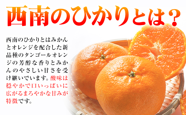 西南のひかり 約5kg さかもと果樹園《12月中旬-12月末頃出荷》熊本県 玉名郡 玉東町 みかん 柑橘 フルーツ 果物 ご家庭用 サイズミックス