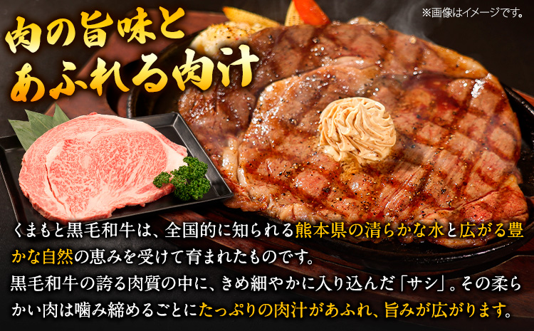 くまもと黒毛和牛 リブロースステーキ 500g (250g×2枚) 牛肉 冷凍 《30日以内に出荷予定(土日祝除く)》くまもと黒毛和牛 黒毛和牛 冷凍庫 個別 取分け 小分け 個包装 ステーキ肉 にも リブロースステーキ