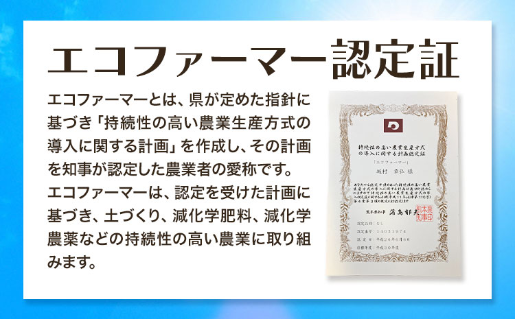 梨 なし 甘太梨 約5kg(5～18玉前後) 坂村梨園 《8月中旬-11月上旬頃出荷》熊本県 玉東町 秋 旬 梨 フルーツ 果物 期間限定