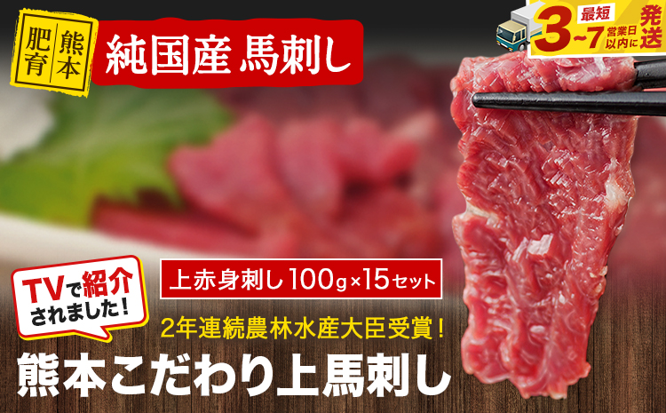 上赤身馬刺し100g×15セット(10ml×15袋)《3-7日以内に出荷予定(土日祝除く)》 熊本県 玉名郡 玉東町 馬刺し 国産 赤身 送料無料 肉 タレ付き 1500g 牛肉よりヘルシー