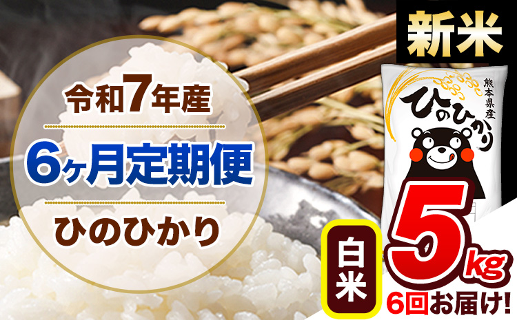 【6ヶ月定期便】新米 令和7年産 定期便 ひのひかり 白米 5kg 《お申込み翌月から出荷開始》熊本県産 ふるさと納税 白米 精米 ひの 米 こめ ふるさとのうぜい ヒノヒカリ コメ 熊本米 ひのもり