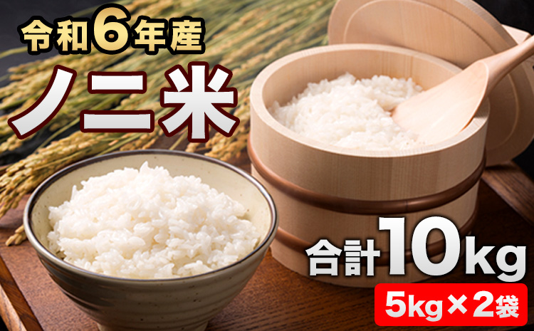 令和6年産  ひのひかり(ノニ米) 10kg(5kg×2袋)コノCAFE《30日以内に出荷予定(土日祝除く)》