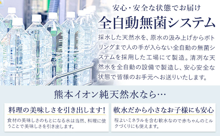 【12ヶ月定期便】熊本イオン純天然水 ラベルレス 2L×20本 《お申込み翌月から出荷》2l 水 飲料水 ナチュラルミネラルウォーター 熊本県 玉名郡 玉東町 完全国産 天然水 くまモン パッケージ