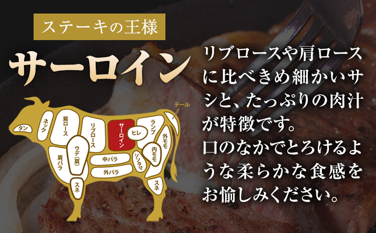 くまもと黒毛和牛 サーロインステーキ 500g (250g x 2枚) 牛肉 冷凍 《30日以内に出荷予定(土日祝除く)》 くまもと黒毛和牛 黒毛和牛 冷凍庫 個別 取分け 小分け 個包装 ステーキ肉 にも サーロインステーキ