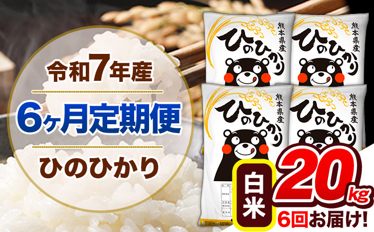 【6ヶ月定期便】令和7年産 定期便 ひのひかり 白米 20kg 《お申込み翌月から出荷》熊本県産 ふるさと納税 白米 精米 ひの 米 こめ ふるさとのうぜい ヒノヒカリ コメ 熊本米