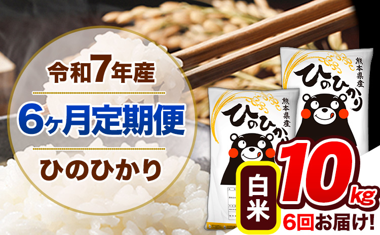 【6ヶ月定期便】令和7年産 定期便 ひのひかり 白米 10kg 《お申込み翌月から出荷開始》熊本県産 ふるさと納税 白米 精米 ひの 米 こめ ふるさとのうぜい ヒノヒカリ コメ 熊本米
