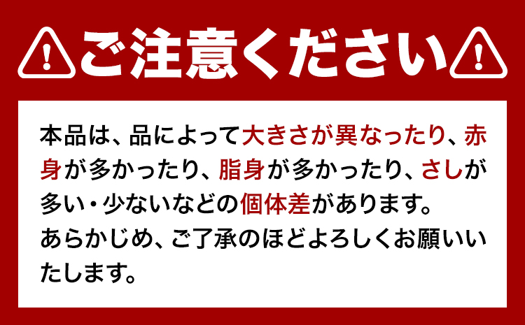 馬ひも 馬刺し用 320g(80g×4袋) 《7-14営業日以内に出荷予定(土日祝除く)》 熊本県 玉東町 肉 馬ひも 馬肉