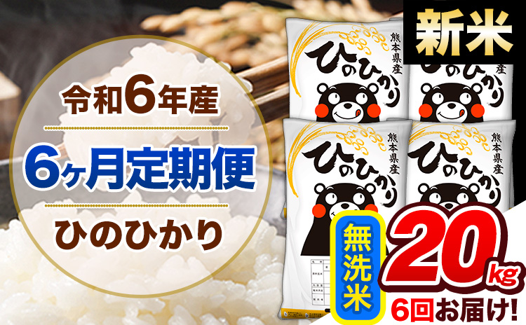 【6ヶ月定期便】令和6年産 新米 定期便 無洗米 ひのひかり 20kg 《申込み翌月から発送》令和6年産 熊本県産 ふるさと納税 精米 ひの 米 こめ ふるさとのうぜい ヒノヒカリ コメ 熊本米 ひのもり