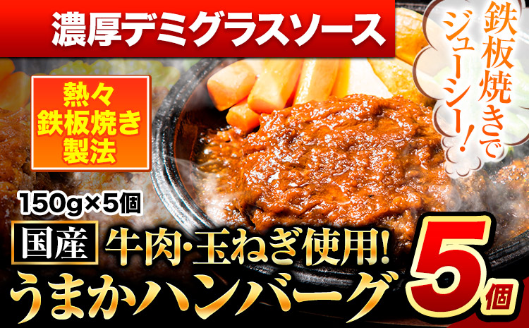 ハンバーグ 5個 国産のお肉使用！ 鶏肉不使用 温めるだけ 「通の贅沢ハンバーグ」濃厚デミグラスソース《7-14日以内に出荷予定(土日祝除く)》 牛 訳あり 小分け 早く届く