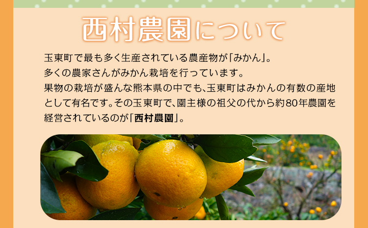 ご家庭用『西村農園』のご家庭用みかん★約5kg(2S-2Lサイズ)  フルーツ 秋 旬★熊本県玉名郡玉東町 80年の老舗農家が作るジューシーみかん♪ちょこっと訳あり《11月下旬-12月下旬頃出荷》