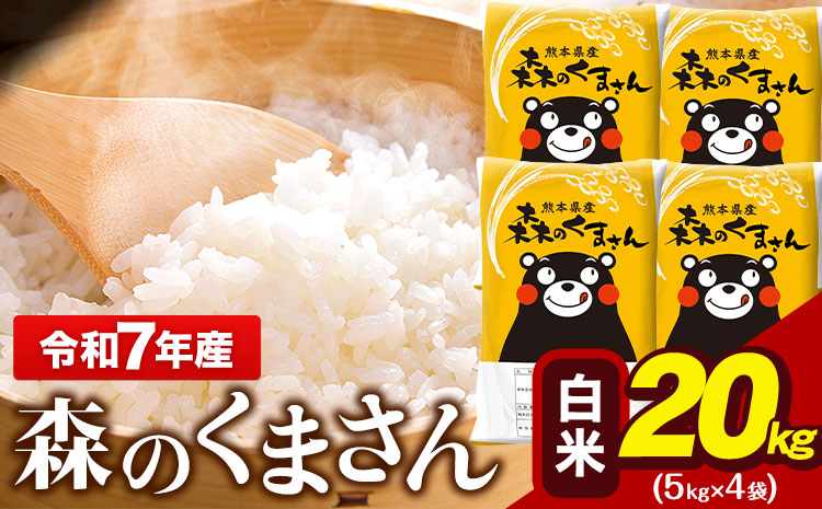 令和7年産 森のくまさん 20kg 5kg × 4袋  白米 熊本県産 単一原料米 森くま《7-14日以内に出荷予定(土日祝除く)》送料無料