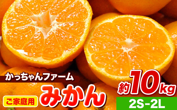 ご家庭用『かっちゃんファーム』のご家庭用みかん★ 約10kg【2S-2Lサイズ(大小サイズ混合)】 自然本来のおいしさ！《1月上旬-1月末頃出荷》