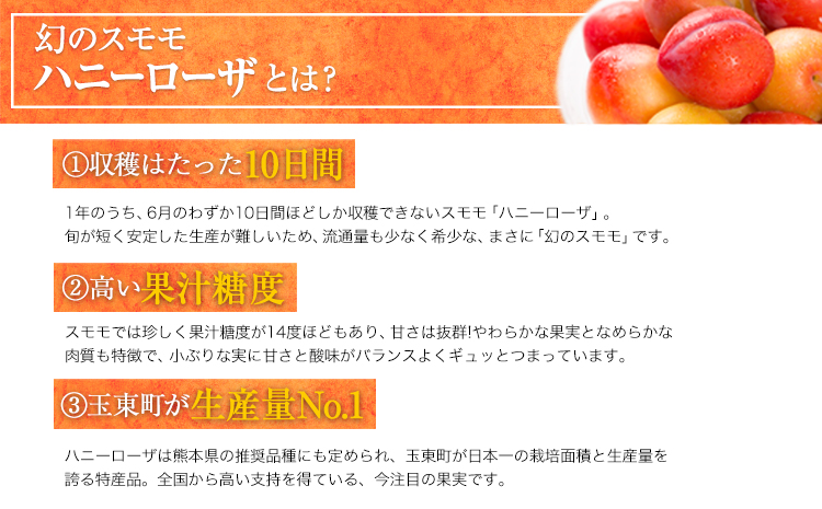 ハニーローザカップケーキセット 熊本県玉名郡玉東町 すもも ハニーローザ ぷらっとぎょくとう《30日以内に出荷予定(土日祝除く)》