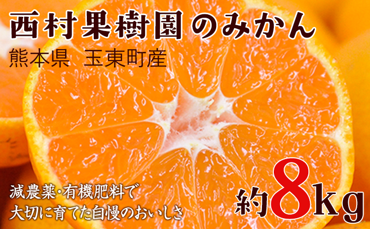 『西村果樹園』のみかん★約8kg(2S-2Lサイズ) 予約受付中 フルーツ 秋 旬★熊本県玉名郡玉東町 みかん 減農薬・有機肥料で育てた自慢のおいしさ！《10月上旬-1月下旬頃出荷》