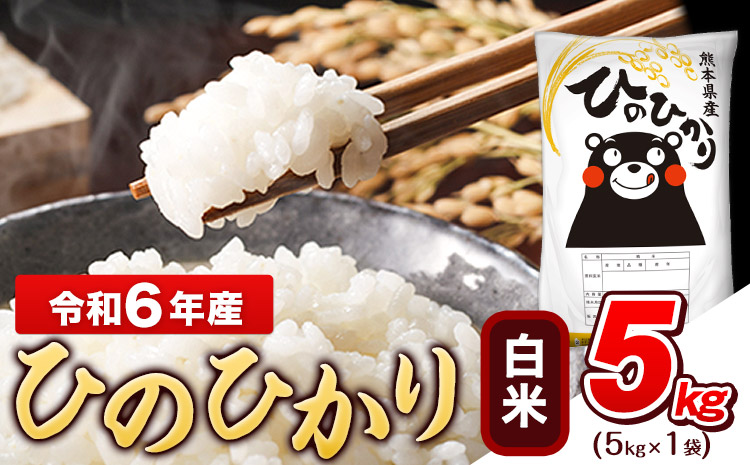 令和6年産  ひのひかり 5kg《7-14営業日以内に出荷予定(土日祝除く)》熊本県産 白米 精米 ひの 米 こめ ヒノヒカリ コメ お米 おこめ