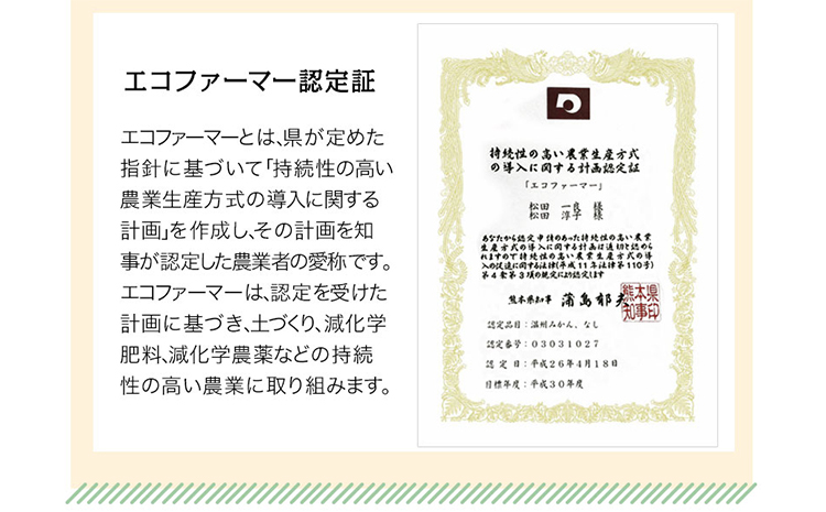 ジューシーで甘い♪『松田農園』のみかんたっぷり約5kg (S-2Lサイズ) 《11月上旬-12月下旬頃出荷》 予約受付中 フルーツ 秋 旬 熊本県 玉名郡玉東町『松田農園』手間暇かけたこだわりのミカン