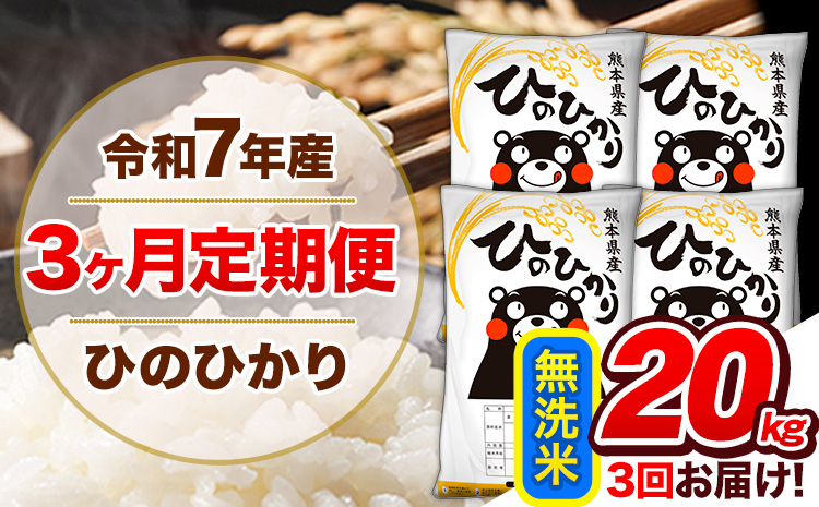 【3ヶ月定期便】令和7年産 定期便 無洗米 ひのひかり 20kg 《お申込み翌月から出荷開始》熊本県産 ふるさと納税 精米 ひの 米 こめ ふるさとのうぜい ヒノヒカリ コメ 熊本米