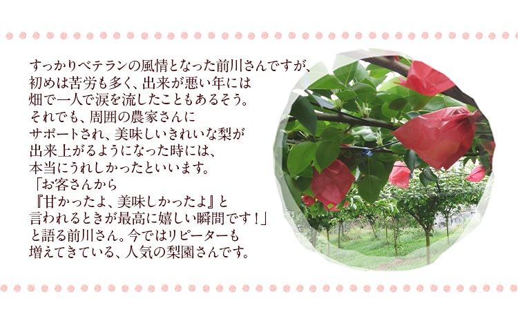 まえかわ梨園の玉東梨 約5kg（6-16玉前後）《8月中旬-9月下旬頃出荷》 熊本県玉東町産【2品種から旬の梨1種】 果物 スイーツ フルーツ 