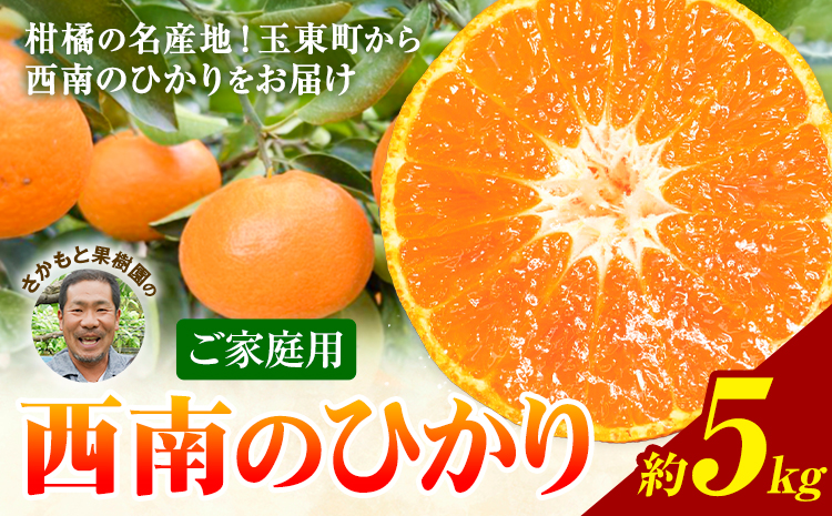 西南のひかり 約5kg さかもと果樹園《12月中旬-12月末頃出荷》熊本県 玉名郡 玉東町 みかん 柑橘 フルーツ 果物 ご家庭用 サイズミックス