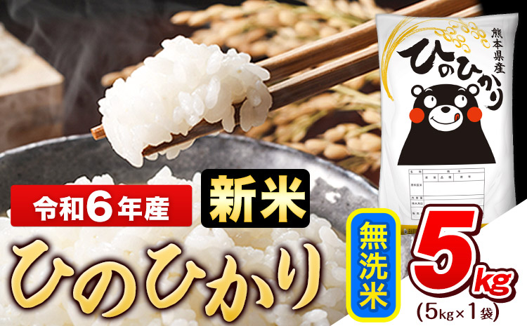 令和6年産 新米 早期先行予約受付中 ひのひかり 無洗米 5kg (5kg×1袋)《11月-12月頃出荷》熊本県産 ひの 米 こめ ヒノヒカリ コメ お米 おこめ