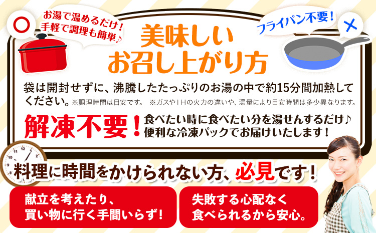 ハンバーグ 大容量！たっぷり 23個 入り 《30日以内に出荷予定(土日祝除く)》冷凍 大容量 23個 あか牛 国産 肉 牛肉 豚肉 鶏肉 クール便 温めるだけ 小分け 簡単 調理 特製 惣菜 デミグラスソース 湯煎 人気 子供 熊本県 玉東町