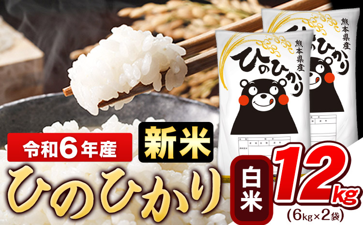 令和6年産 新米 早期先行予約受付中 ひのひかり 12kg (6kg×2袋)《11月-12月頃出荷》熊本県産 白米 精米 ひの 米 こめ ヒノヒカリ コメ お米 おこめ