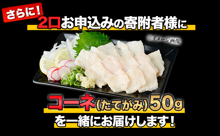 話題の人気 熊本特産馬刺し 馬刺し4種の盛り合わせ タレ360ml付き《30日以内に順次出荷 土日祝を除く 》 fucoa.cl