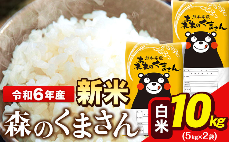 令和6年産 新米  森のくまさん 10kg 5kg × 2袋  白米 熊本県産 単一原料米 森くま《11月-12月より出荷予定》送料無料