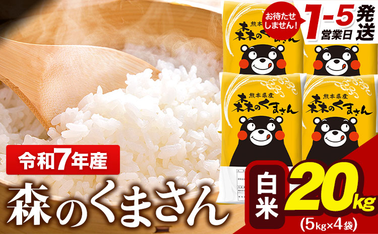 令和7年産 森のくまさん 20kg 5kg × 4袋  白米 熊本県産 単一原料米 森くま《1-5日以内に出荷予定(土日祝除く)》送料無料