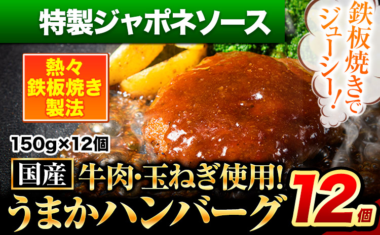 ハンバーグ 12個 国産のお肉使用！ 鶏肉不使用 温めるだけ 「通の贅沢ハンバーグ」特製ジャポネソース 7-14日以内に出荷予定(土日祝除く)》 牛 訳あり 小分け 早く届く