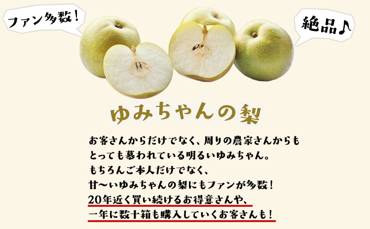 『ゆみちゃん農園』の玉東梨 約3kg 3玉-10玉前後 《8月下旬-10月上旬頃出荷》熊本県玉名郡玉東町 梨 なし 果物 フルーツ 旬の梨