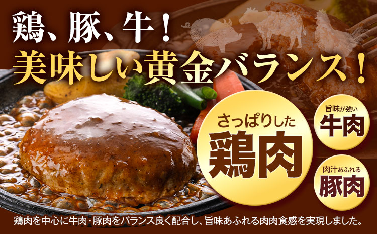 ハンバーグ 大容量！たっぷり 23個 入り 《7-14日以内に出荷予定(土日祝除く)》冷凍 大容量 23個 あか牛 国産 肉 牛肉 豚肉 鶏肉 クール便 温めるだけ 小分け 簡単 調理 特製 惣菜 デミグラスソース 湯煎 人気 子供 熊本県 玉東町