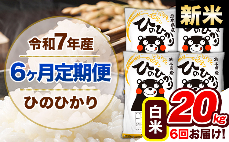 【6ヶ月定期便】新米 令和7年産 定期便 ひのひかり20kg 《お申込み翌月から出荷開始》熊本県産 ふるさと納税 白米 精米 ひの 米 こめ ふるさとのうぜい ヒノヒカリ コメ 熊本米