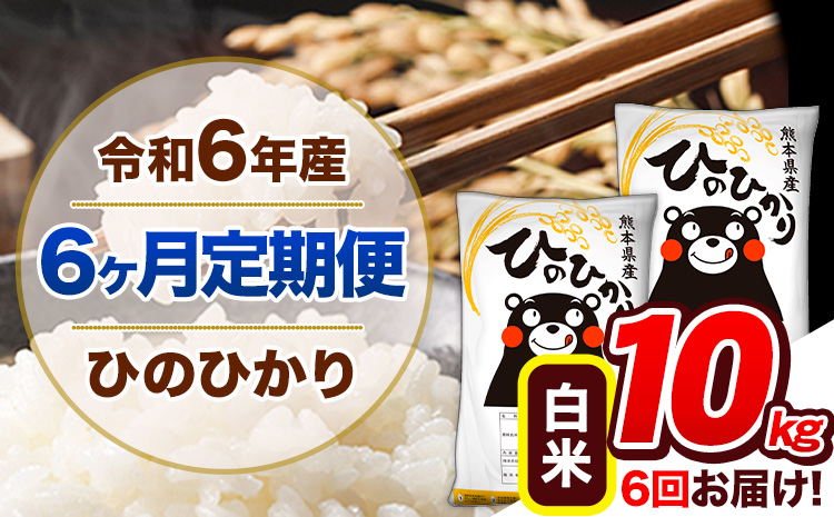 【6ヶ月定期便】令和6年産 定期便 ひのひかり 10kg 《申込み翌月から発送》令和6年産 熊本県産 ふるさと納税 白米 精米 ひの 米 こめ ふるさとのうぜい ヒノヒカリ コメ 熊本米