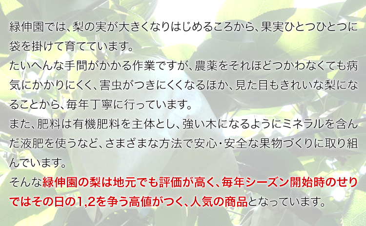 『緑伸園』の旬の梨 約3kg《8月中旬-9月下旬頃出荷》 旬の品種をお届け 予約受付中  4-8玉前後入り 梨 旬 豊水 あきづき 新高 