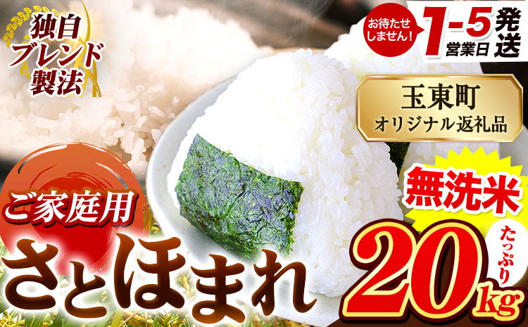 熊本県産 さとほまれ 無洗米 ご家庭用 20kg 《1-5日以内に出荷予定(土日祝除く)》熊本県 玉名郡 玉東町 米 こめ コメ ブレンド米 送料無料