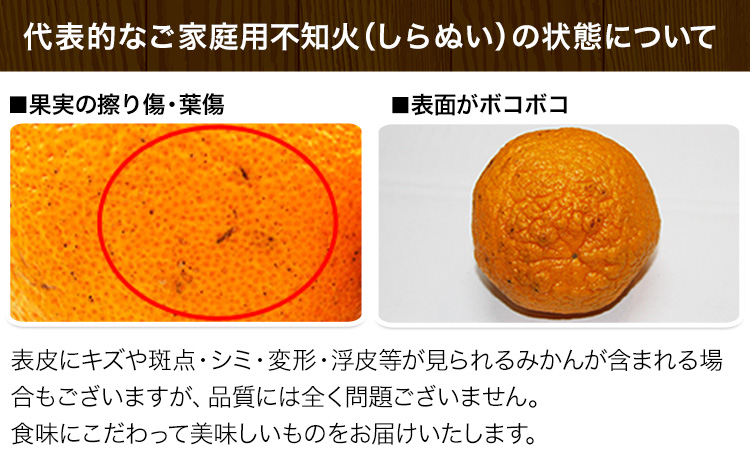 清田農園のご家庭用不知火10玉-16玉(L-2Lサイズ) あのデコポンと同品種 熊本県玉名郡玉東町《3月上旬-3月末頃出荷》