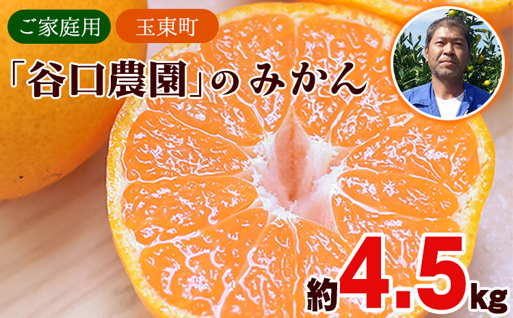 ご家庭用『谷口農園』のみかん★約4.5kg(2S-2Lサイズ) 《11月-12月出荷》 予約受付中 フルーツ 旬★熊本県玉名郡玉東町 ミネラルたっぷり竹パウダーの土で育つ甘〜いみかん♪ちょこっと訳あり