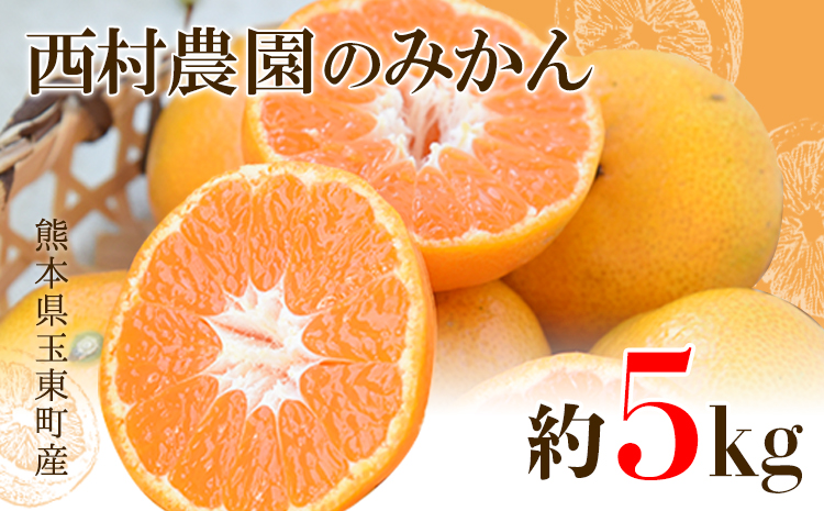 『西村農園』のみかん★約5kg(S-Lサイズ)  フルーツ 秋 旬★熊本県玉名郡玉東町 80年の老舗農家が作るジューシーみかん♪《11月下旬-12月下旬頃出荷》