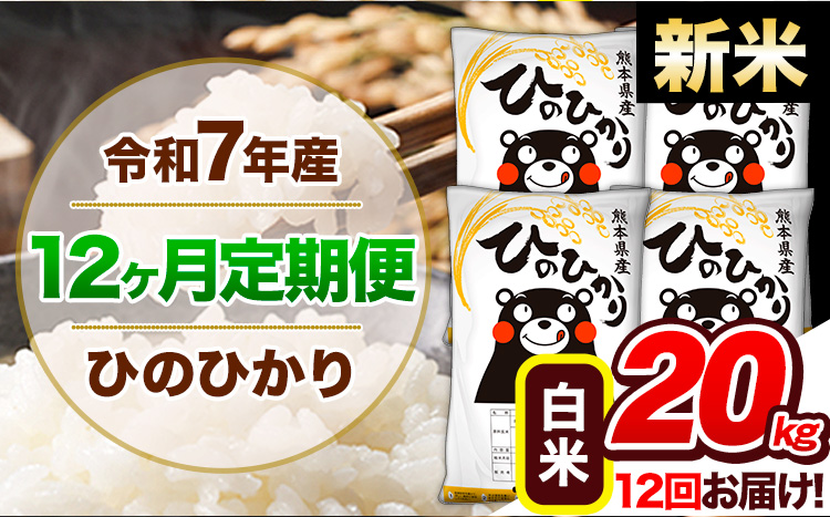 【12ヶ月定期便】新米 令和7年産 定期便 ひのひかり 白米 20kg 《お申込み翌月から出荷開始》熊本県産 ふるさと納税 白米 精米 ひの 米 こめ ふるさとのうぜい ヒノヒカリ コメ 熊本米 ひのもり