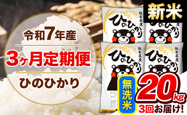 【3ヶ月定期便】新米 令和7年産 定期便 無洗米 ひのひかり 20kg 《お申込み翌月から出荷開始》熊本県産 ふるさと納税 精米 ひの 米 こめ ふるさとのうぜい ヒノヒカリ コメ 熊本米