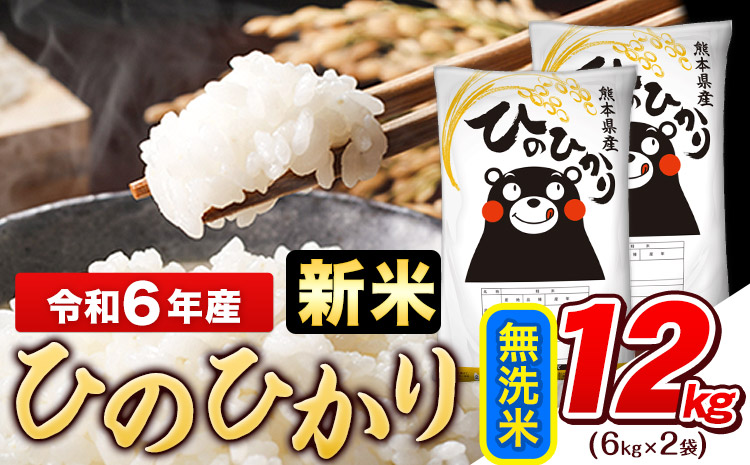 令和6年産 新米 早期先行予約受付中 ひのひかり 無洗米 12kg (6kg×2袋)《11月-12月頃出荷》熊本県産 ひの 米 こめ ヒノヒカリ コメ お米 おこめ