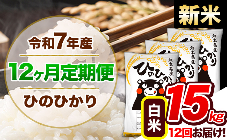 【12ヶ月定期便】新米 令和7年産 定期便 ひのひかり 白米 15kg 《お申込み翌月から出荷開始》熊本県産 ふるさと納税 白米 精米 ひの 米 こめ ふるさとのうぜい ヒノヒカリ コメ 熊本米 ひのもり