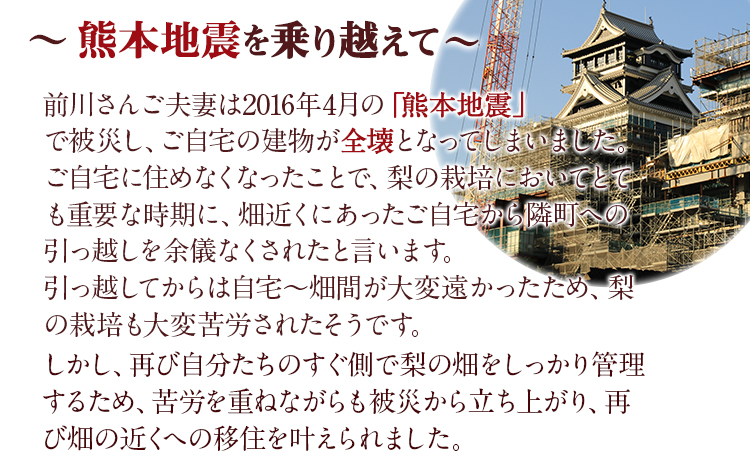 まえかわ梨園の玉東梨 約3kg（6-8玉前後）《8月中旬-9月下旬頃出荷》 熊本県玉東町産【2品種から旬の梨1種】 果物 スイーツ フルーツ 