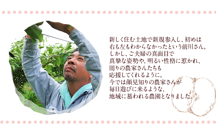 まえかわ梨園の玉東梨 約5kg（6-16玉前後）《8月中旬-9月下旬頃出荷》 熊本県玉東町産【2品種から旬の梨1種】 果物 スイーツ フルーツ 