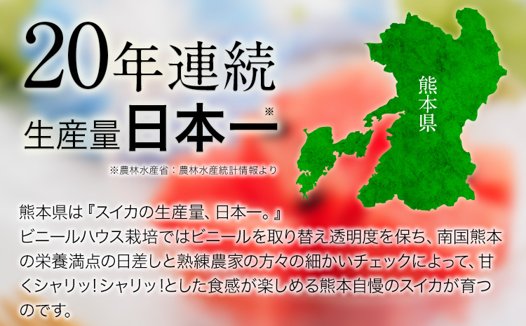 『あかりふぁーむ』の小玉スイカ2玉セット1玉約2〜3kg熊本県玉名郡玉東町『あかりふぁーむ』すいか フルーツ 果物 熊本県産《6月上旬-6月末頃出荷》