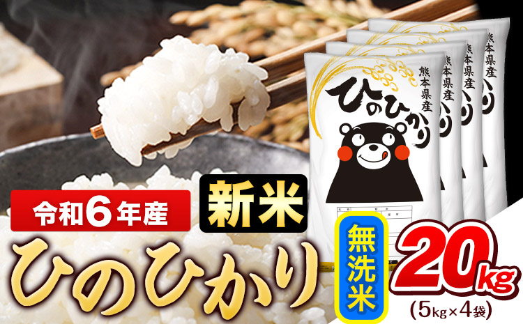 令和6年産 新米 早期先行予約受付中 ひのひかり 無洗米 20kg (5kg×4袋)《11月-12月頃出荷》熊本県産 ひの 米 こめ ヒノヒカリ コメ お米 おこめ