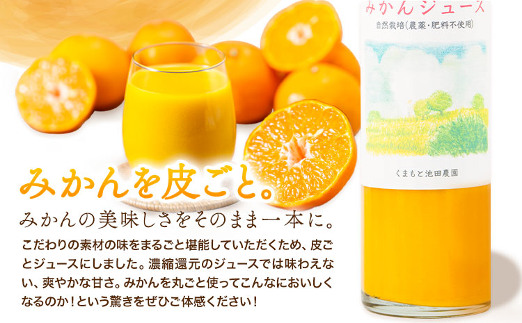 池田農園のみかんジュース 2本 1本500ml 池田農園《30日以内に出荷予定(土日祝除く)》熊本県 玉名郡 玉東町 みかんジュース みかん ミカン ジュース 自然栽培 栽培期間中農薬・肥料不使用